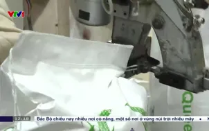 Thúc đẩy tiêu thụ lúa đông xuân