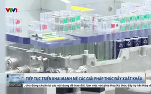 Tiếp tục triển khai mạnh mẽ các giải pháp thúc đẩy xuất khẩu