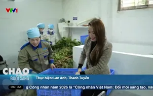 Ngày mới thu hái và bào chế dược liệu