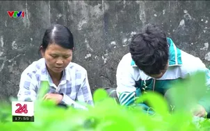 Con cố gắng hơn để ông bà yên lòng