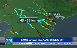 Xâm nhập mặn năm nay không gay gắt