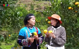 Công dân số: Từ bản làng lên không gian số