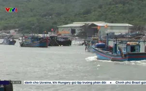 Giảm chi phí khai thác thủy sản