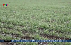 Trung Quốc đẩy mạnh tưới tiêu thông minh