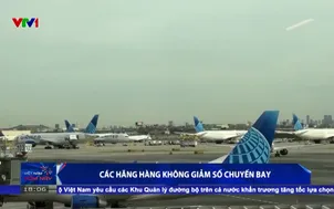 Các hãng hàng không giảm số chuyến bay