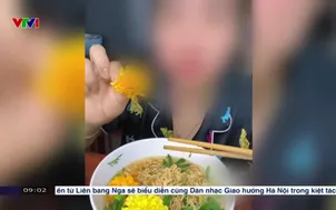 Cảnh báo về trào lưu ăn hoa cúc vạn thọ