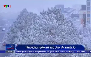 Tân Cương: Sương mù tạo cảnh sắc huyền ảo