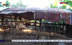 Hỗ trợ nông dân sau thiên tai: Khó ở khâu xác minh