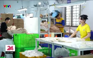 Tín hiệu tích cực thị trường lao động 2026