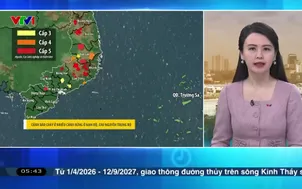 Bản tin thời tiết 5h30 - 25/03/2026