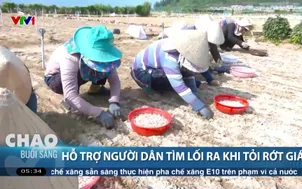 Hỗ trợ người dân tìm lối ra khi tỏi rớt giá