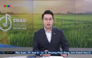 Hỗ trợ tiêu thụ nông sản sau mưa đá