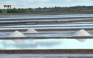 Bạn của nhà nông (2026) - Số 5