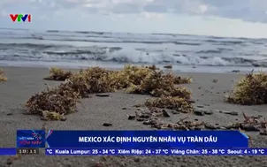 Mexico xác định nguyên nhân vụ tràn dầu 