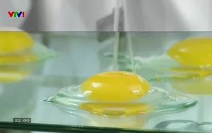 Ánh sáng tri thức: Dấu ấn khoa học