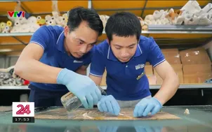 Những người hồi sinh sắc phong cổ