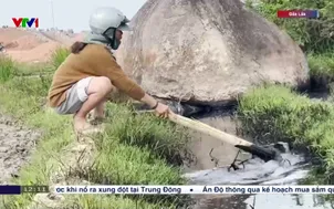 Nông dân phải bỏ ruộng vì dầu nhớt