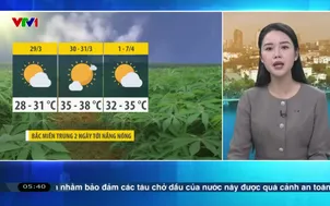 Bản tin thời tiết 5h30 - 29/03/2026