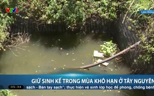 Giữ sinh kế trong mùa khô hạn ở Tây Nguyên