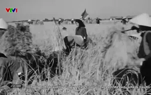 Nhật ký người Việt: Nông trường Lam Sơn