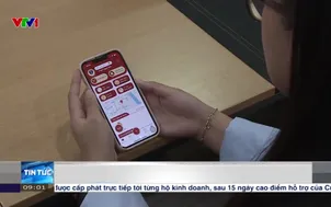 Phản ánh vi phạm giao thông qua VNeID từ 1/4