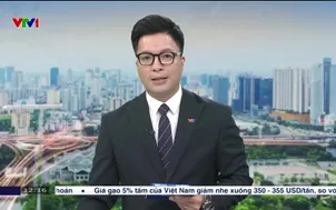 Khắc phục xong biệt thự đổ sập ven biển trước 30/4/2026