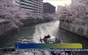 Ngồi thuyền ngắm hoa