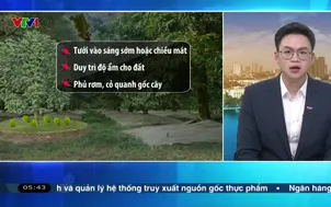 Bản tin thời tiết 5h30 - 01/4/2026