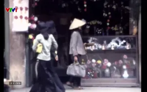 Nhật ký người Việt: Mùa xuân làng lúa làng hoa