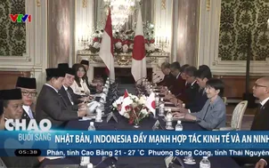 Nhật Bản, Indonesia đẩy mạnh hợp tác kinh tế và an ninh