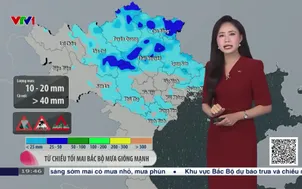 Bản tin thời tiết 19h45 - 02/4/2026