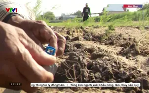 Dùng nước tiết kiệm - giảm nỗi lo khô hạn