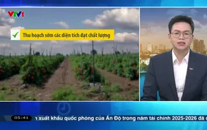 Bản tin thời tiết 5h30 - 03/4/2026