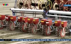 Hiệu quả từ mô hình nông nghiệp thông minh