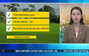 Bản tin thời tiết 5h30 - 04/4/2026