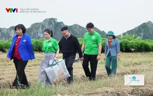 Trạm yêu thương: Điểm tựa từ một bàn tay