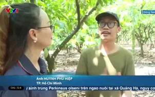 Ngày mới tại xứ sở ca cao Đồng Nai