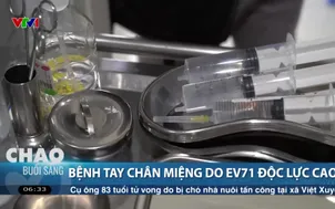 Bệnh tay chân miệng do EV71 độc lực cao