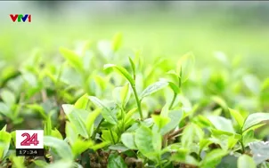 Chi tiêu và cơ hội ở nông thôn  