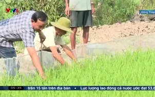 Chủ động giảm chi phí sản xuất nông sản