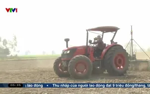 Thái Lan hoãn lúa vụ khô vì chi phí tăng cao