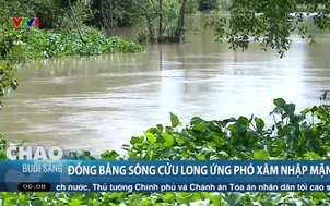Đồng bằng sông Cửu Long ứng phó xâm nhập mặn