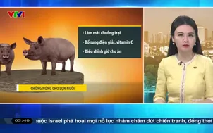 Bản tin thời tiết 5h30 - 07/4/2026