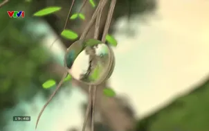 Bản tin thời tiết 19h45 - 07/4/2026