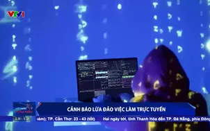 Cảnh báo lừa đảo việc làm trực tuyến
