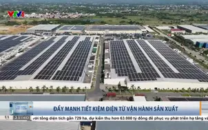 Đẩy mạnh tiết kiệm điện từ vận hành sản xuất