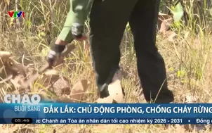 Đắk Lắk: Chủ động phòng, chống cháy rừng