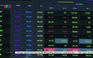 Chứng khoán Việt Nam vững bước trên lộ trình phát triển