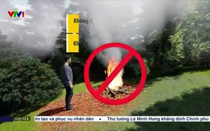 Hơn 2.300 xã, phường có nguy cơ cháy rừng cao