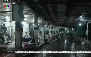 Xóa bỏ hoạt động giết mổ gia súc, gia cầm nhỏ lẻ